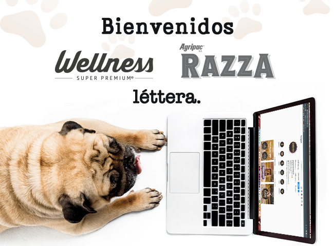 Bienvenido Wellness y Razza!