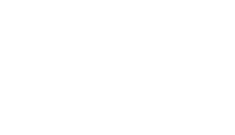 apy logo